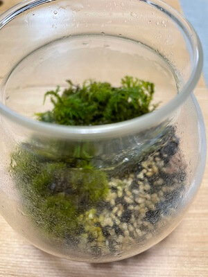 苔リュームの外